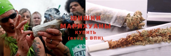 соль ск Рославль