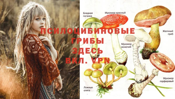 мет Россошь
