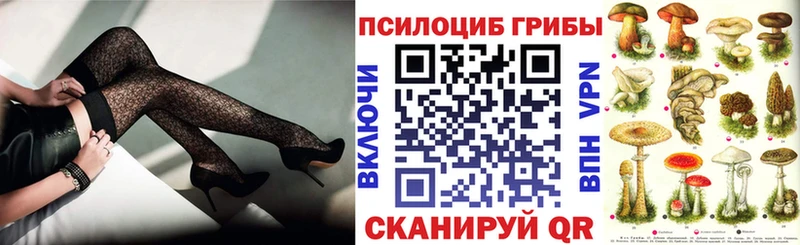 МЕГА tor  Елабуга  Псилоцибиновые грибы GOLDEN TEACHER 